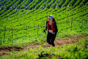 BIB: 159
                            <button type="button" onclick="openModal(19162745)" class="btn btn-primary btn-sm float-right btn-popup" data-toggle="modal" data-target=".modal-high-quality">
                        <i class="fas fa-shopping-cart"></i> Add to Cart
                    </button>
                                            <button type="button" onclick="isThisMe(19162745, true)" class="btn btn-success btn-sm float-right btn-popup btn-isme hidden" data-toggle="tooltip" data-placement="bottom" title="นี่คือรูปของคุณใช่ไหม คลิกที่นี่เพื่อเอาเข้าอัลบั้ม">
                        <i class="fas fa-plus"></i> Add to album
                    </button>
                    <button type="button" onclick="isThisMe(19162745, false)" class="btn btn-warning btn-sm float-right btn-popup btn-isnotme hidden">
                        <i class="fas fa-ban"></i> Remove from album
                    </button>